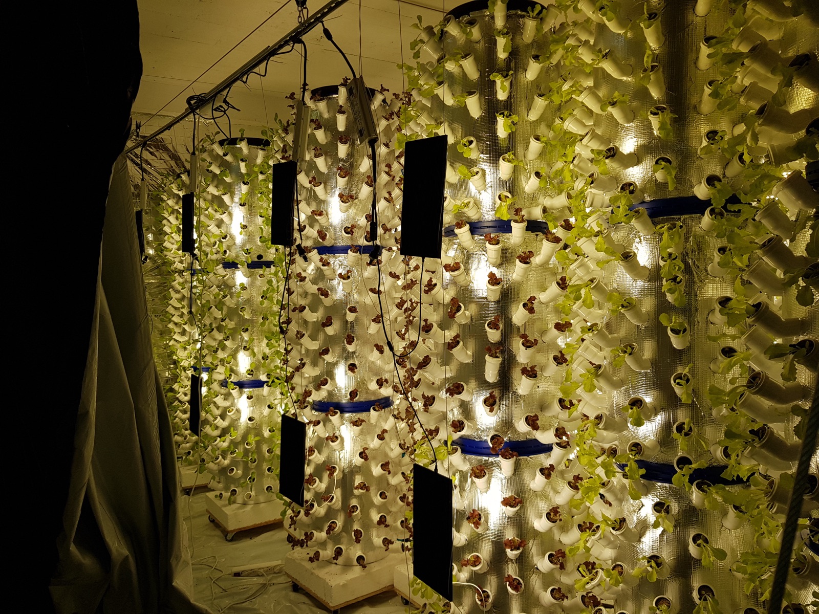 Day 3 evening — lighting commissioned, suspended LED panels illuminating empty towers