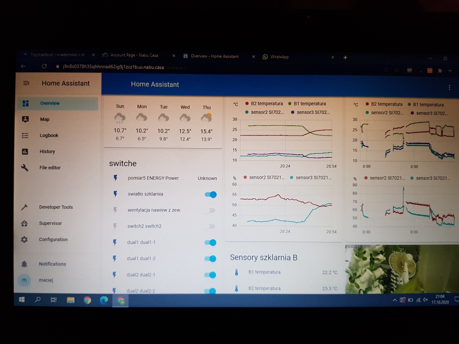 Home Assistant dashboard with weather forecast, room temperature time series, humidity graphs